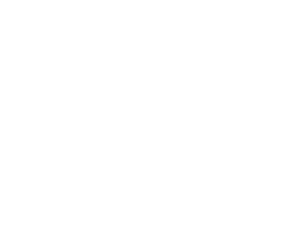 raíz logo
