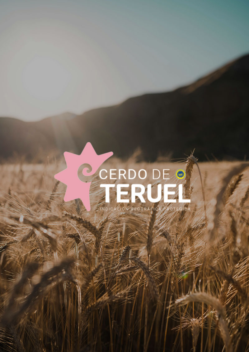 cerdo de teruel logo